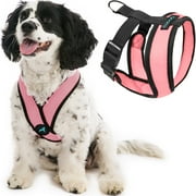 Gooby Comfort X Head-In Harness - Pink, Small - Breathable, Lightweight, Wrinkle Free Mesh Harness with Patented Choke-Free X Frame for Small Dog and Medium Dog Indoor and Outdoor use