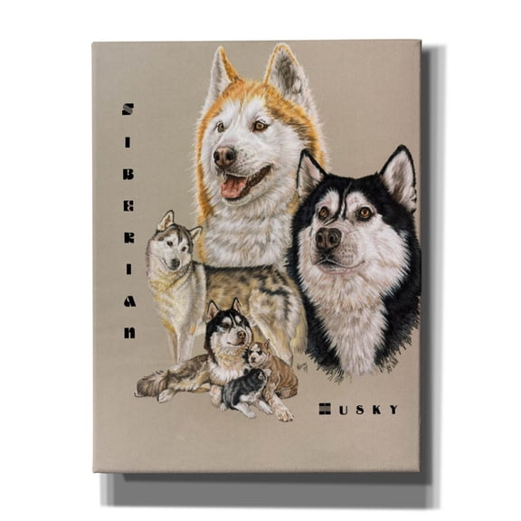 Epic Graffiti 'Siberian Husky' by Barbara Keith, Canvas Wall Art, 26"x34"