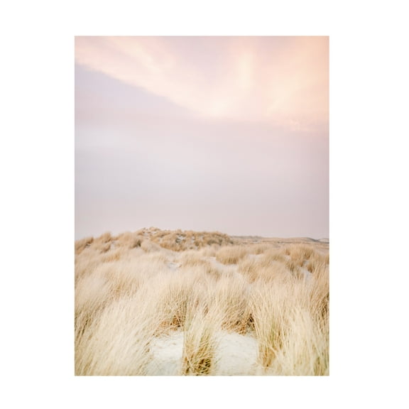 Trademark Fine Art Raisa Zwart Ameland Dunes 2 Canvas Wall Art