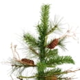 thumbnail image 2 of Árbol de Navidad Vickerman Ashland de 6 pies/180 cm, sin iluminación, con piñas, 2 of 6