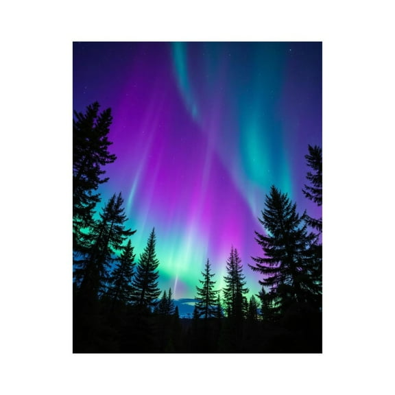 Paint By Numbers Kit for Adults Beginner - DIY Northern Lights Sky Forest Silhouette Canvas Painting Kits for Adults, Frameless Paint By Number for Adults for Home Wall Decor 16x20 Inch