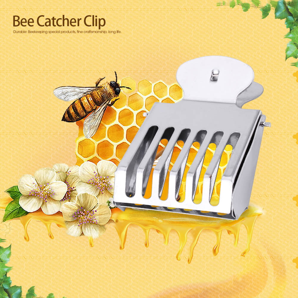 Bee Clip Cage Steel Queen Beekeeping Tool Equipment Accessories New 