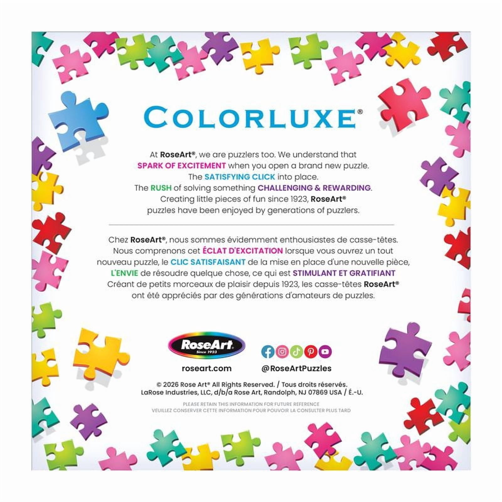 COLORLUXE 1000PC MEETING PLACE