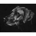thumbnail image 2 of Chapman, Julie T. 18x15 White Modern Wood Framed Museum Art Print Titled - Canine Scratchboard XXVIII, 2 of 4