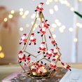 thumbnail image 1 of 10ft 30LEDs Luces colgantes decorativas navideñas Cadena de hadas blanca cálida TFixol Luces led, 1 of 7