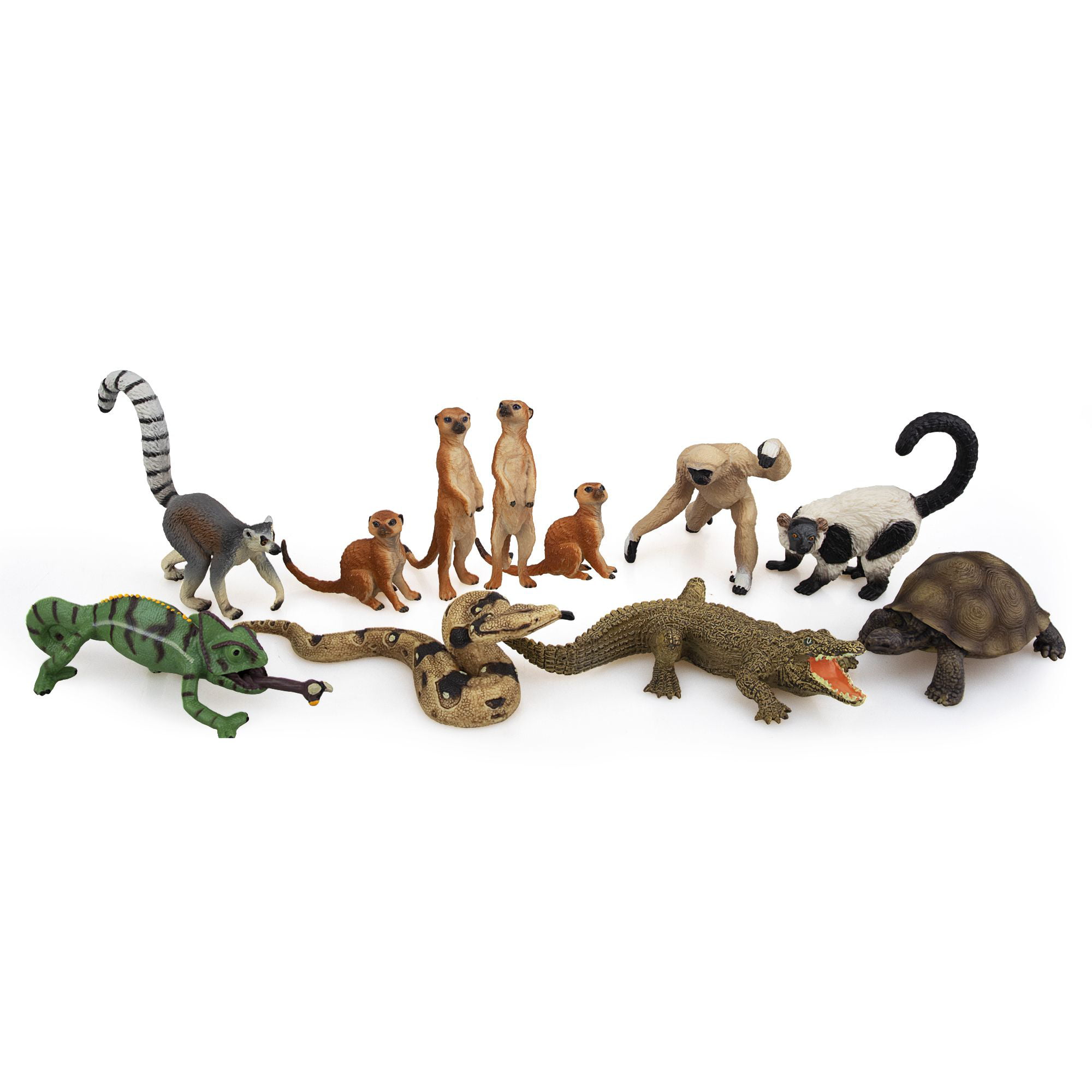 Christmas Birthday Gift Party Favor School Project for Kids Toddlers TOYMANY 11PCS Madagascar Jungle Animals Figurines Toy with Meerkat Lemur Chameleon Crocodile-Jungle Forest Zoo Animal Figures Set 