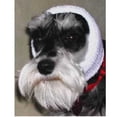 thumbnail image 3 of Happy Hoodie for Dogs and Cats - The Original Grooming and Force Drying Miracle Tool for Anxiety Relief and Calming Dogs - Large White, 3 of 3