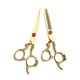 thumbnail image 1 of Tijeras profesionales de corte de peluquero de acero inoxidable y tijeras de adelgazamiento para salón y uso doméstico Vhermosa CPB-US-DYP1799-2, 1 of 5