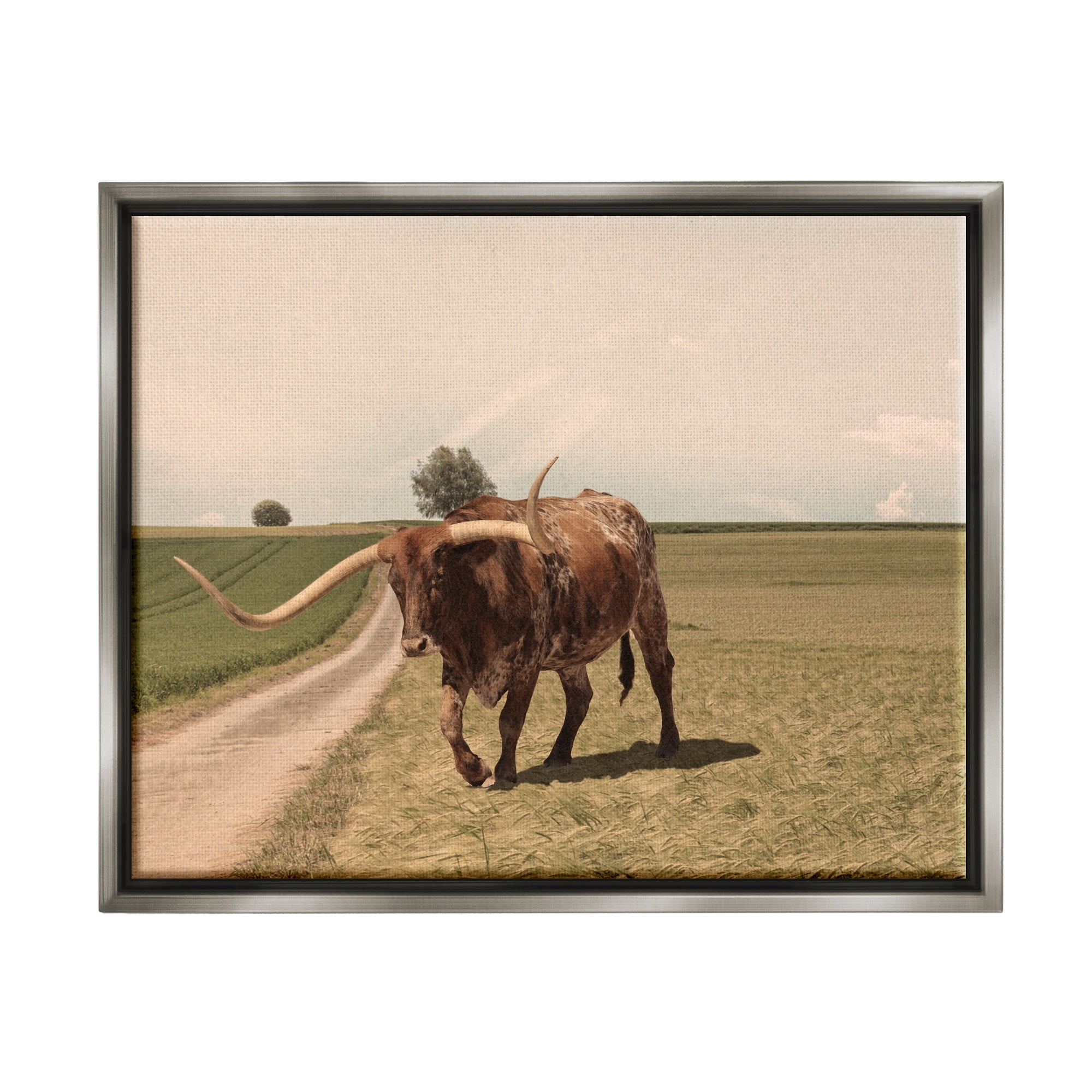 Stupell Industries Longhorn Cattle Grazing Scenic Countryside Landscape Photograph Luster Gray Floating Framed Canvas Print Wall Art, Design by Marcus Prime