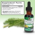 thumbnail image 3 of Nature’s Answer Horsetail Extract 2,000 mg, Alcohol-Free, Herbal Supplement, 1 fl oz, 3 of 6