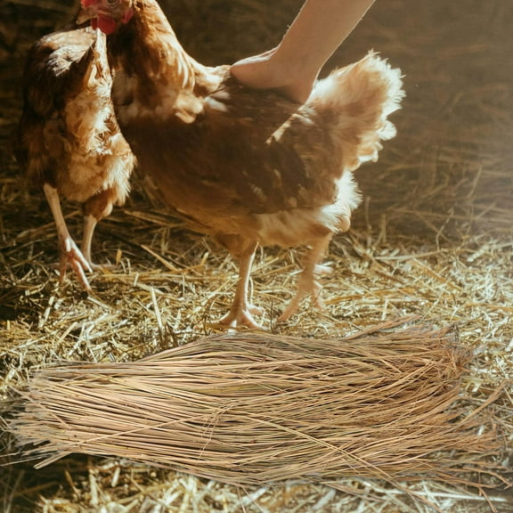 COMPUKAS Beige Straw Bedding Set for Chicken Nesting Pads - , Natural Material for Poultry Comfort