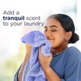 thumbnail image 5 of Laundry Scent Beads, In-Wash Scent Booster, Infusions Crisp Rain & Blue Eucalyptus Scent, 24 oz, 5 of 6