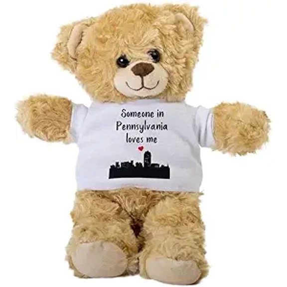 Someone in Pennsylvania Loves Me Teddy Bear, Gift Stuffed Animal, Plush Teddy Bear with Tee, Welcoming Baby Gift, Gift for Her, for Newborn, Cute Birthday Christmas Basket Gift Idea