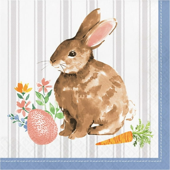 Spring Cottage Bunny Paper Lunch Napkins 16 Per Pack