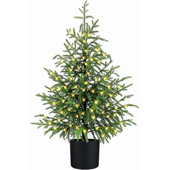 RUPKUL Pre-Lit Artificial Twinkle Christmas Tree, Realistic 2FT Potted Faux Norfolk Pine Christmas Tree for Easy Indoor Holiday Decor