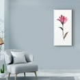 thumbnail image 3 of Trademark Fine Art 'Floral Watercolor II' Canvas Art by Kiana Mosley, 3 of 4