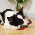 thumbnail image 4 of ERK 1Pcs Interactive Chew Squeaky Durable Biting For Self Entertainment & Teething, 4 of 4