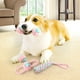 thumbnail image 5 of Juego de cuerda de juguete para perros Apuakthei, 4 piezas de juguetes interactivos duraderos para perros pequeños y medianos, juguetes para dientes de cachorro, juguetes para masticar para perros,, 5 of 7
