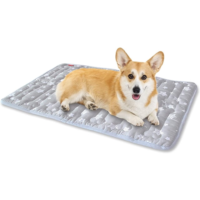 Dog Crate Mat, Soft Bed Mat with Cute Prints, Anti-Slip Bottom Dog Mat, 28" x 18" for Small and Medium Dogs and Most Cats. Machine Washable Pet Mattress for Dog Sleeping