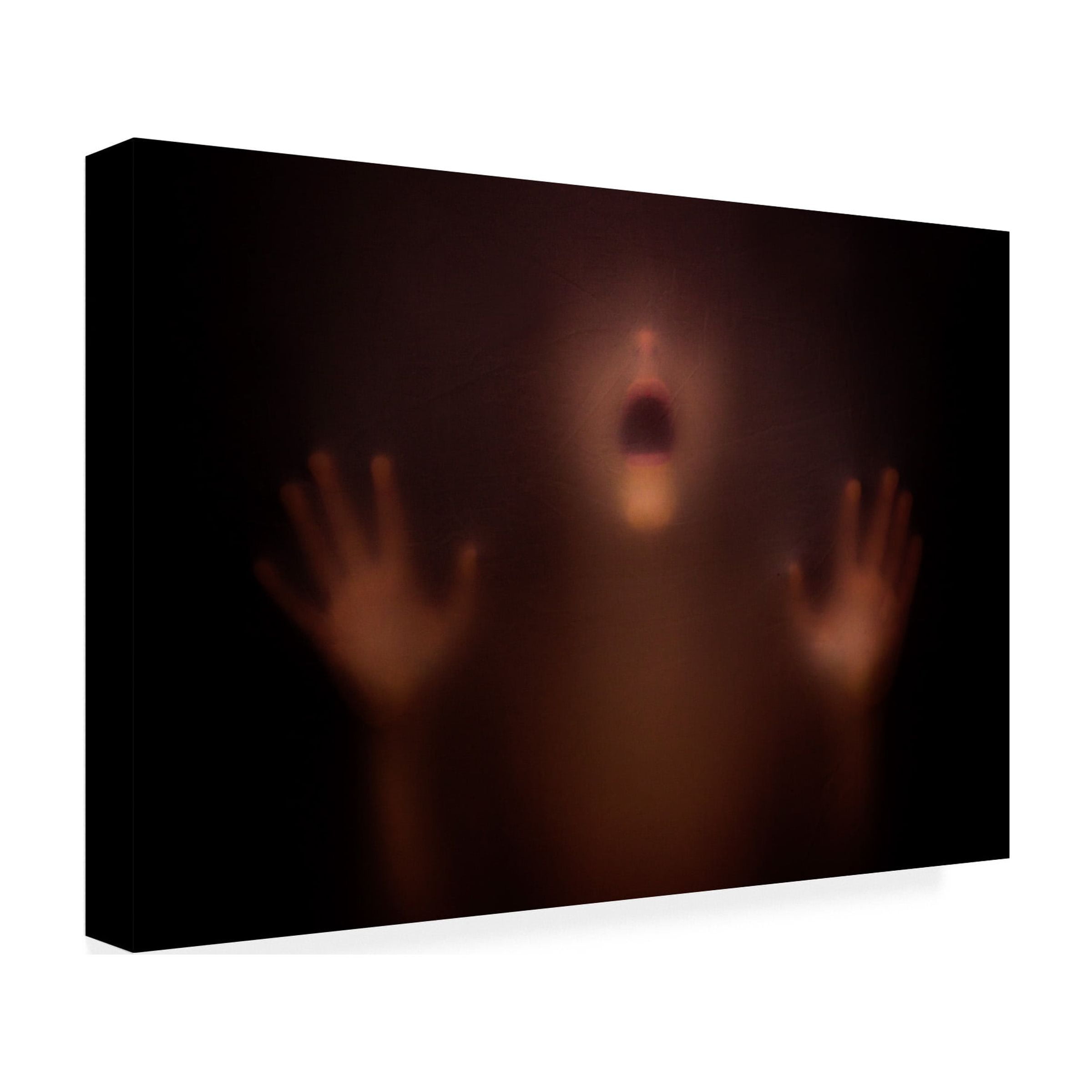 David Bokeh 'The Silent Scream' Canvas Art