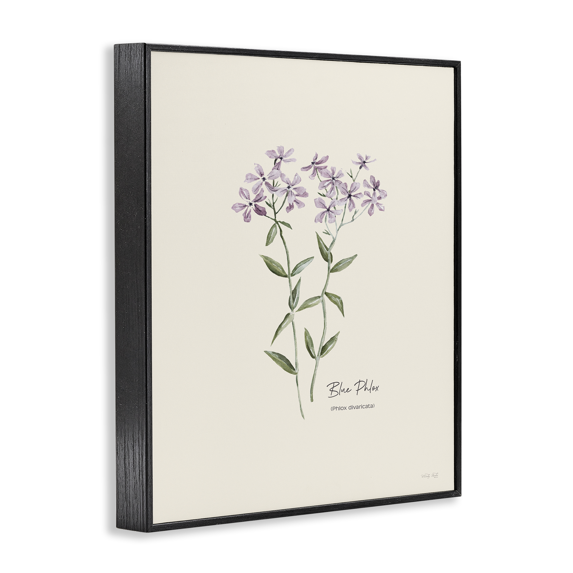 Stupell Industries Country Herb Diagram Botanical & Floral Painting Black Framed Art Print Wall Art, 11 x 14