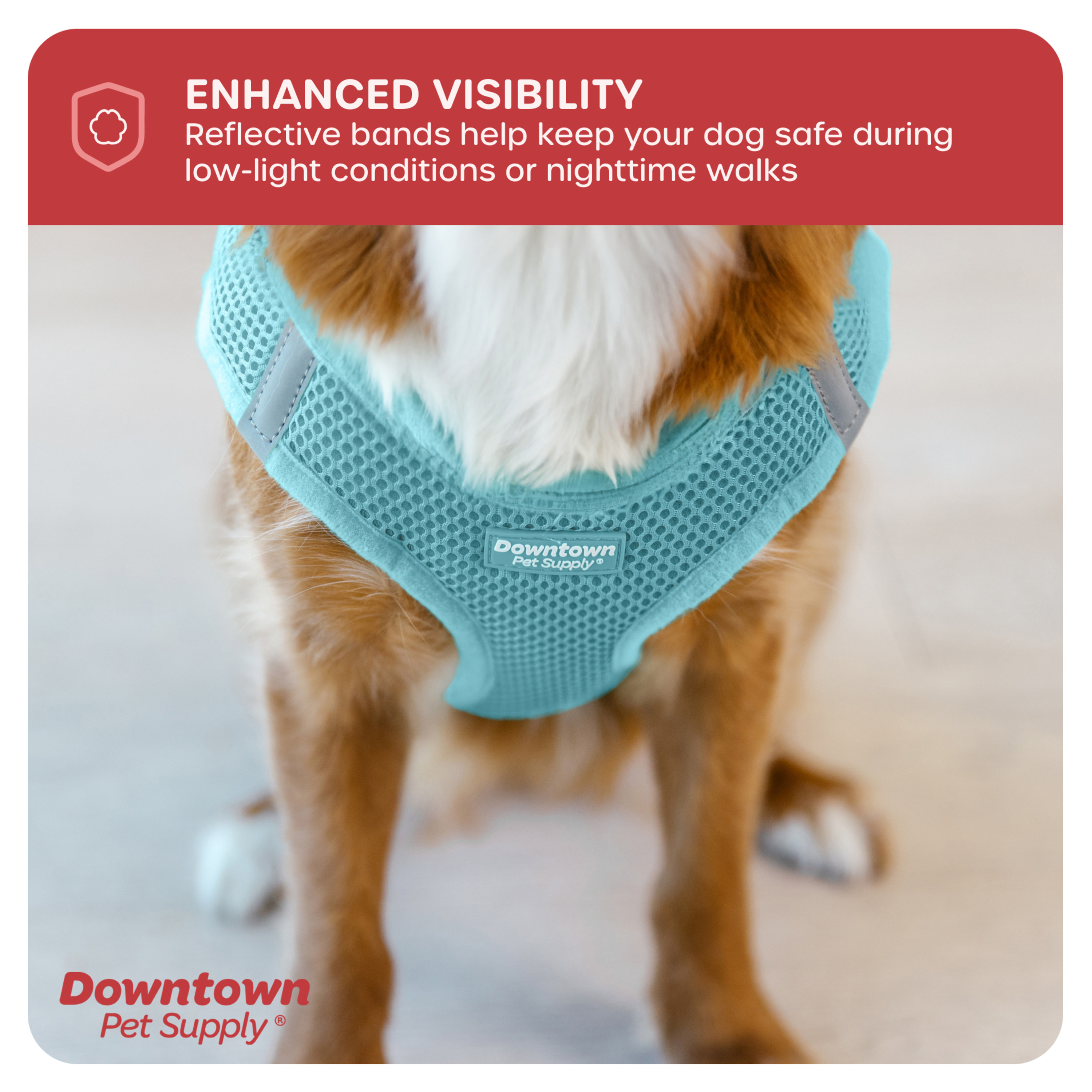 Downtown Pet Supply Step-In Dog Harness, X-Large, Light Blue photo 8