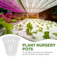 thumbnail image 3 of Raindrops 50Pcs Hydroponics for Nursery Growth Black Farmers, 3 of 8