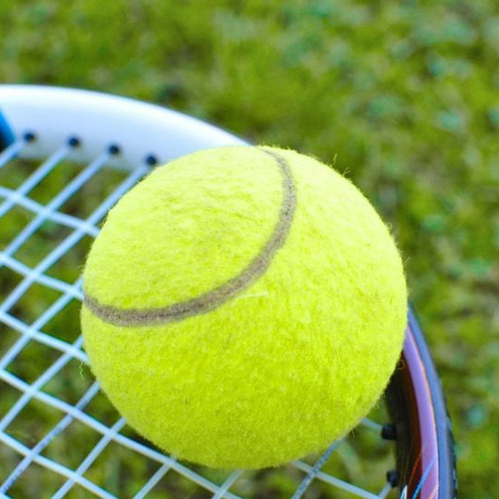 Tennis Ball Sports Tournament Fun Outdoor Cricket Beach Dog Activity GamL0Z0 