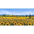 thumbnail image 3 of Marzari, Tebo 14x9 Black Modern Framed Museum Art Print Titled - Girasoli, 3 of 5