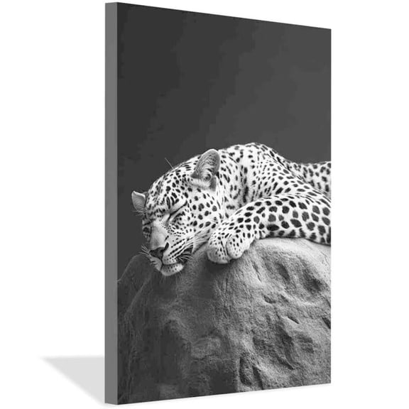 Mudket Framed Black and White Leopard Canvas Wall Art, Sleeping Leopard Print, Modern Animal Wall Decor for Bedroom Living Room - 12"L x 8"W