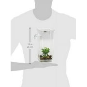 As Seen on TV My Fun Fish Half-Gallon Aquarium