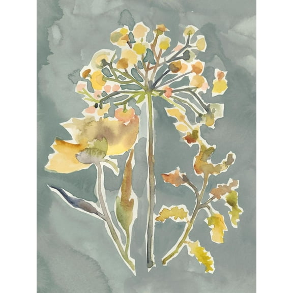 Art.com Collected Florals II Art Print by Chariklia Zarris, 18" x 24"