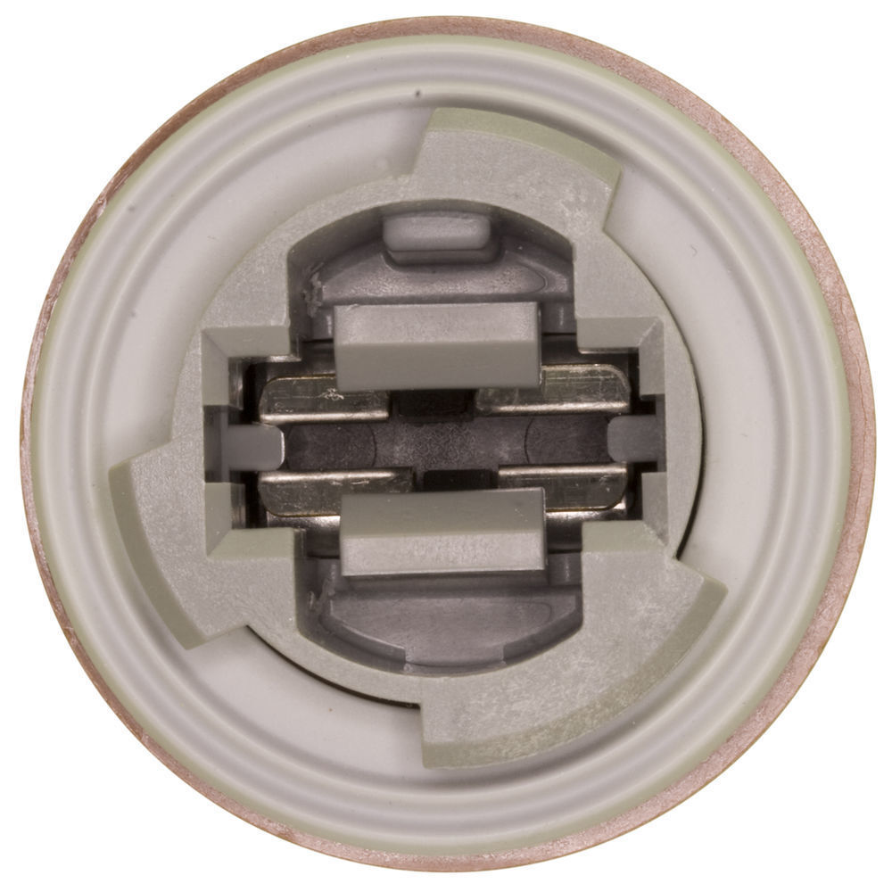 WVE Brake Light Socket