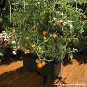 EarthBox Original Garden Kit with Standard 7-7-7 Fertilizer - Dark Green