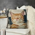 thumbnail image 2 of SHANXI Throw Pillow Covers Cat Pillow Cases Animal Kitty Pillowcase  Cushion Cover for Couch Bed Sofa Patio Car 22x22in, 2 of 5
