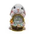 thumbnail image 1 of Figura de conejo de Pascua para patio, impermeable, para jardín, con luces solares Blanco, 1 of 9