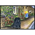 thumbnail image 1 of Carolines Treasures SS8117MAT Paillasson d'Intérieur 18 x 27 Po, 1 of 4