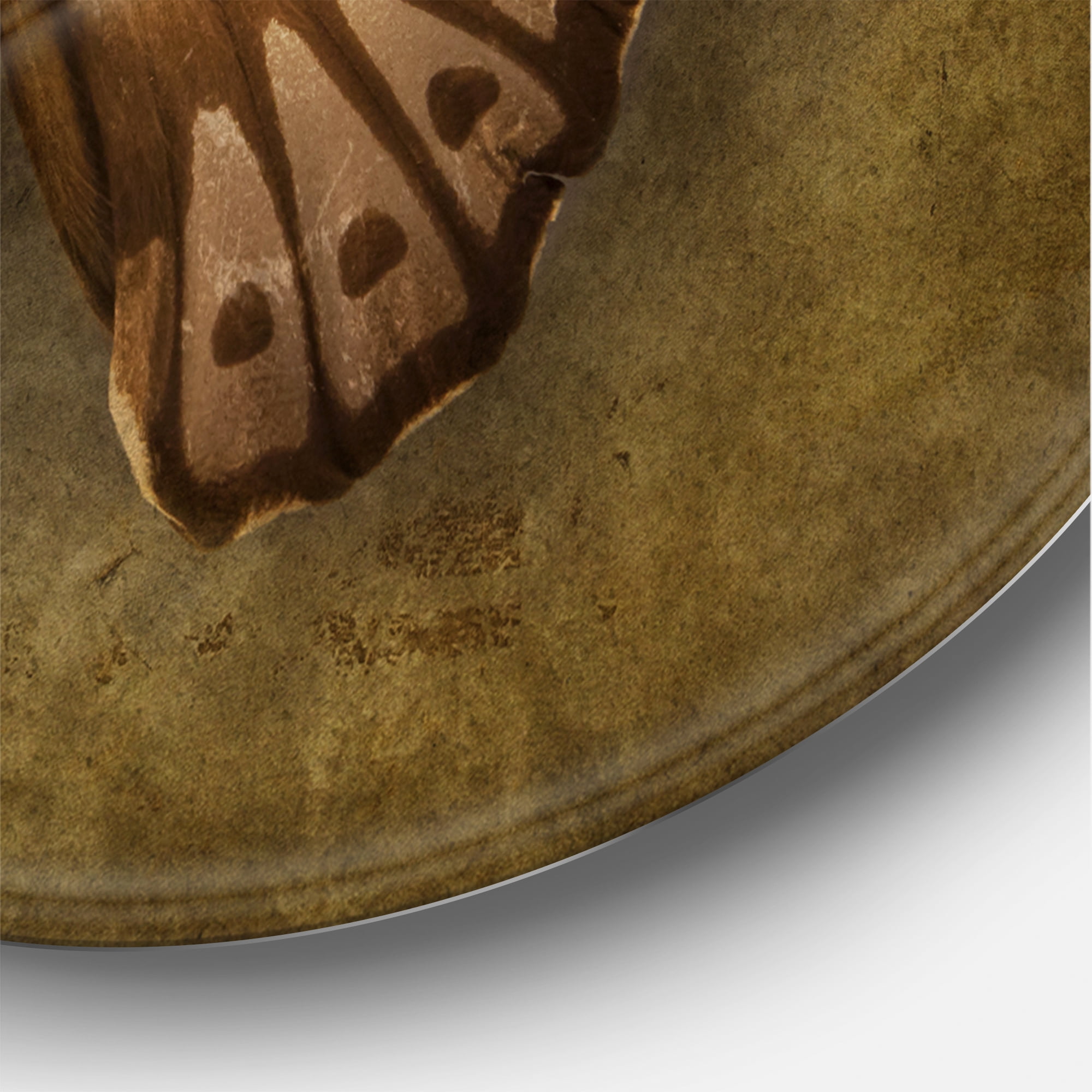 Designart 'Ancient Butterfly In Earth Tones' Vintage Circle Metal Wall Art 29x29 - Disc of 29