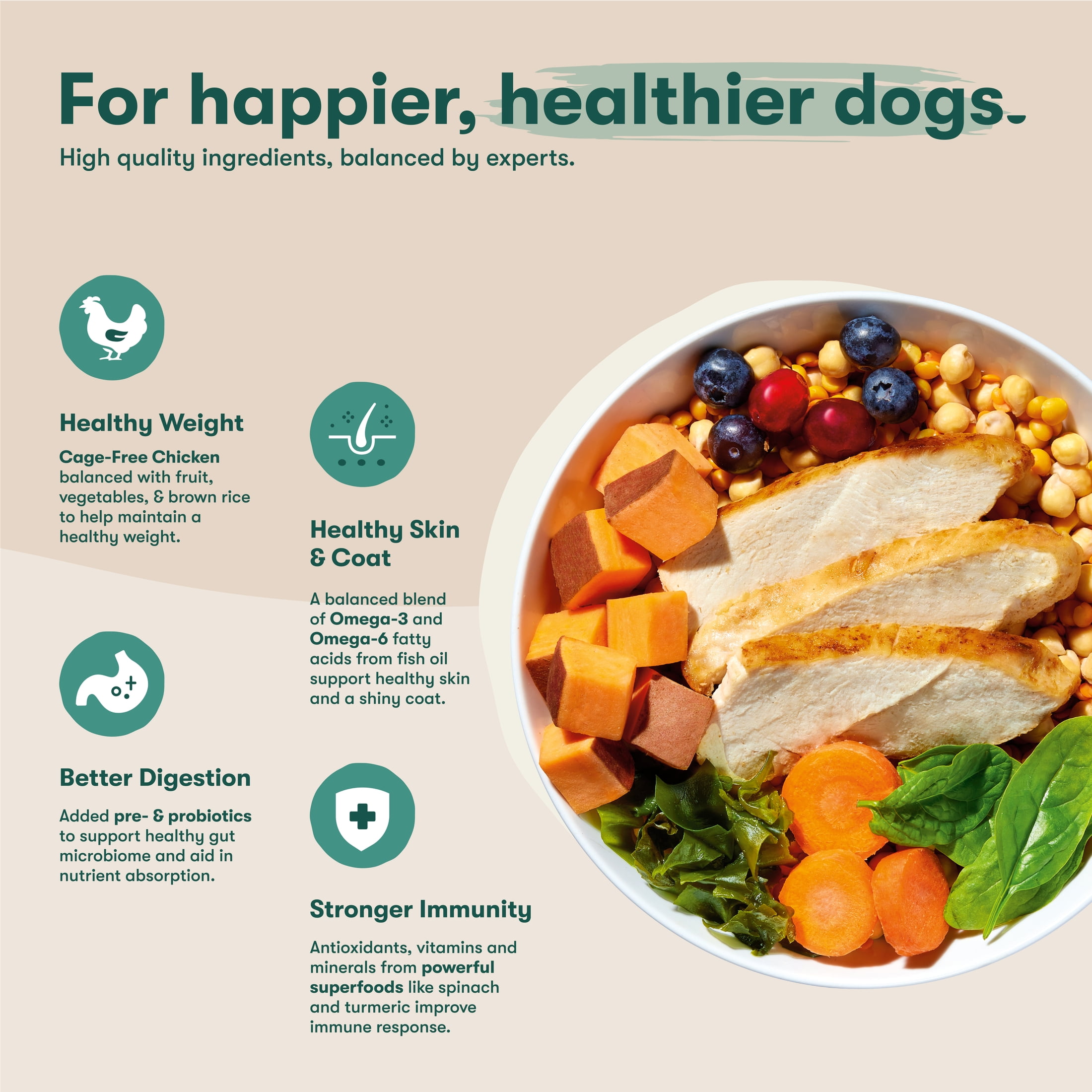 Jinx Chicken Sweet Potato Carrot Grain Free Dry Dog Food, 23.5lb. Bag