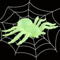thumbnail image 6 of 6 Pcs Glow in The Dark Large Spiders Halloween Giant Spider Decorations Fake Scary Spider for Indoor Outdoor Yard Lawn Wall Home Porch House, 6 of 7
