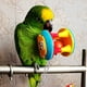 thumbnail image 3 of Sywqhk Pet Bird Bites Toy Parrot Chew Ball Swing Cage Hanging Cockatiel (Cachorros) Sywqhk Para estrenar, 3 of 6