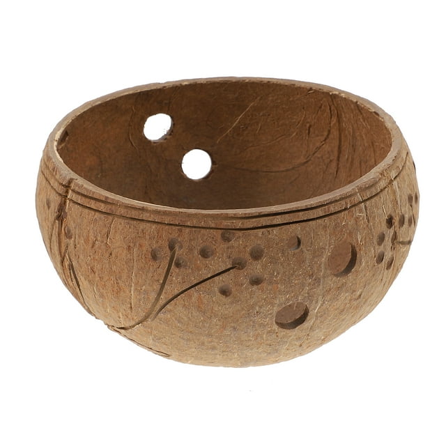 GOOHOCHY maceta colgante para decoración de jardín con suculentas, de cáscara de coco.