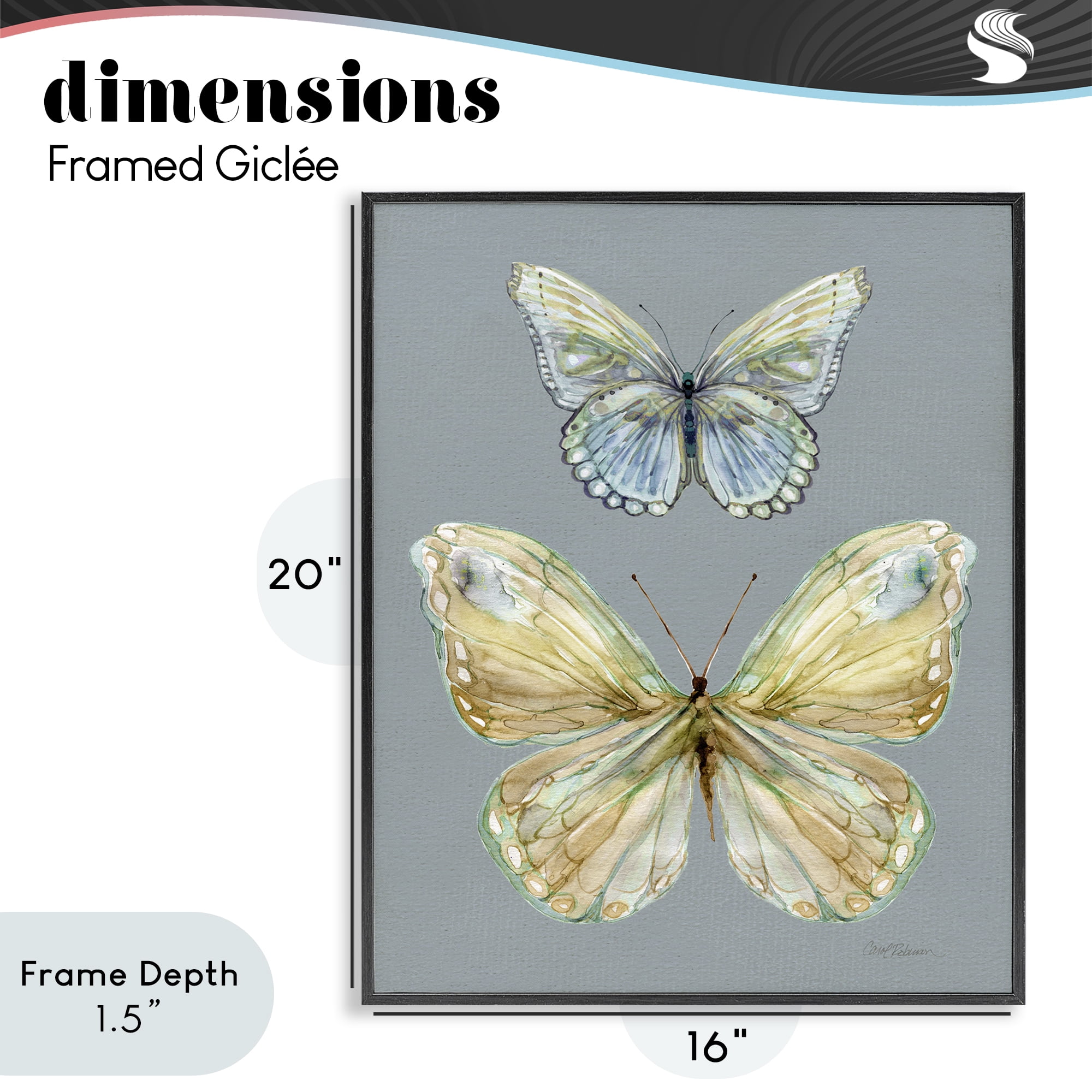 Stupell Industries Delicate Butterflies on Slate Black Framed Giclee Art, design by Carol Robinson