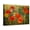 Canvas, variant on Art.com Poppy Fields Art Print by Emma Styles, 16" x 12"