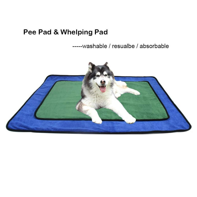 BT Bear Pet Mat, Dog Absorbent Blanket Microfiber Reusable Pet Pee Pad  Washable for Dogs & Cats (M, Blue) 