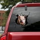 thumbnail image 3 of Pegatina Para Coche De Plástico Pvc Con Mascota Divertida Para Coche, 1 Unidad, 3 of 4