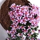 thumbnail image 4 of Decoración de flores falsas de boda elegante Billuyoard con flores artificiales de bajo mantenimiento Rosa roja, 4 of 6