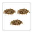 thumbnail image 1 of 3000Pcs Copper Beekeeping for Frames Bee Hive Equipments Copper Caps,3000 x Beekeeping copper frame eyelets,copper, 1 of 5
