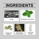 thumbnail image 4 of 1/2/3pcs Bedbug Killing Spray Kills Bed Bug Eggs Prevent Fleas And Bed Bug Bites, 4 of 5