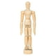 thumbnail image 4 of Maniquí de madera de artista, maniquí articulado, muñeca articulada, figura humana con soporte 155 cm x 45 cm, 4 of 9